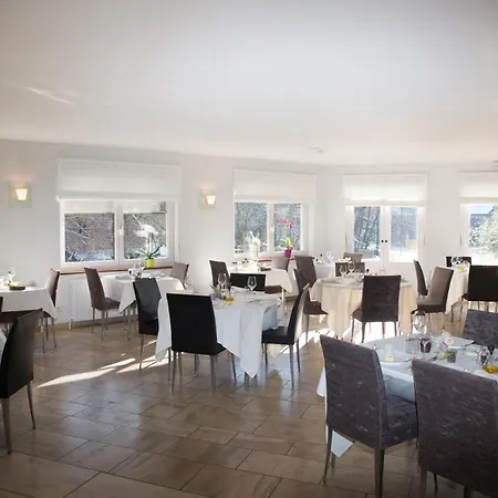 Hotel Du Vieux Moulin
